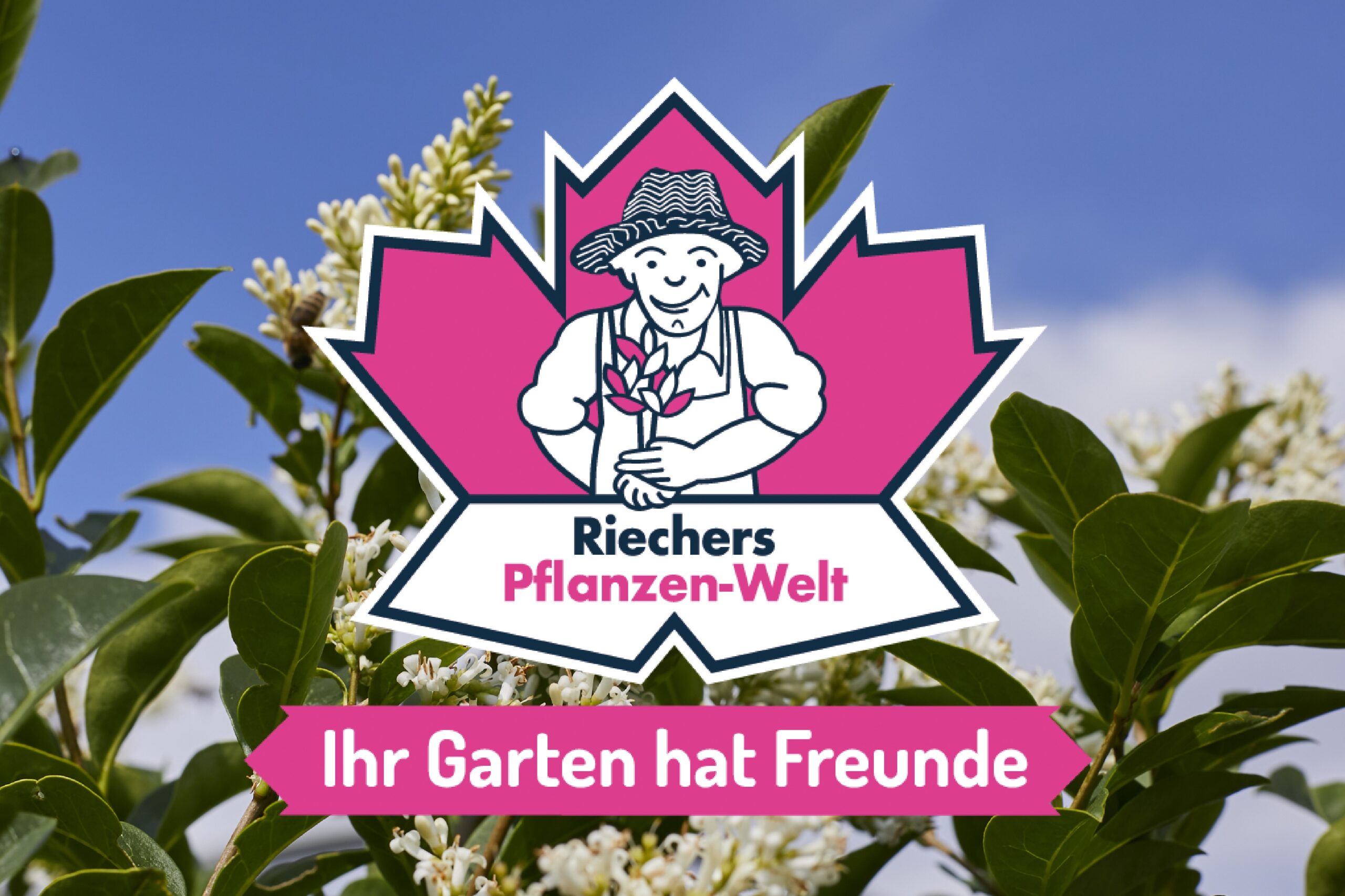 Riechers Pflanzenwelt | Christian Böhlje