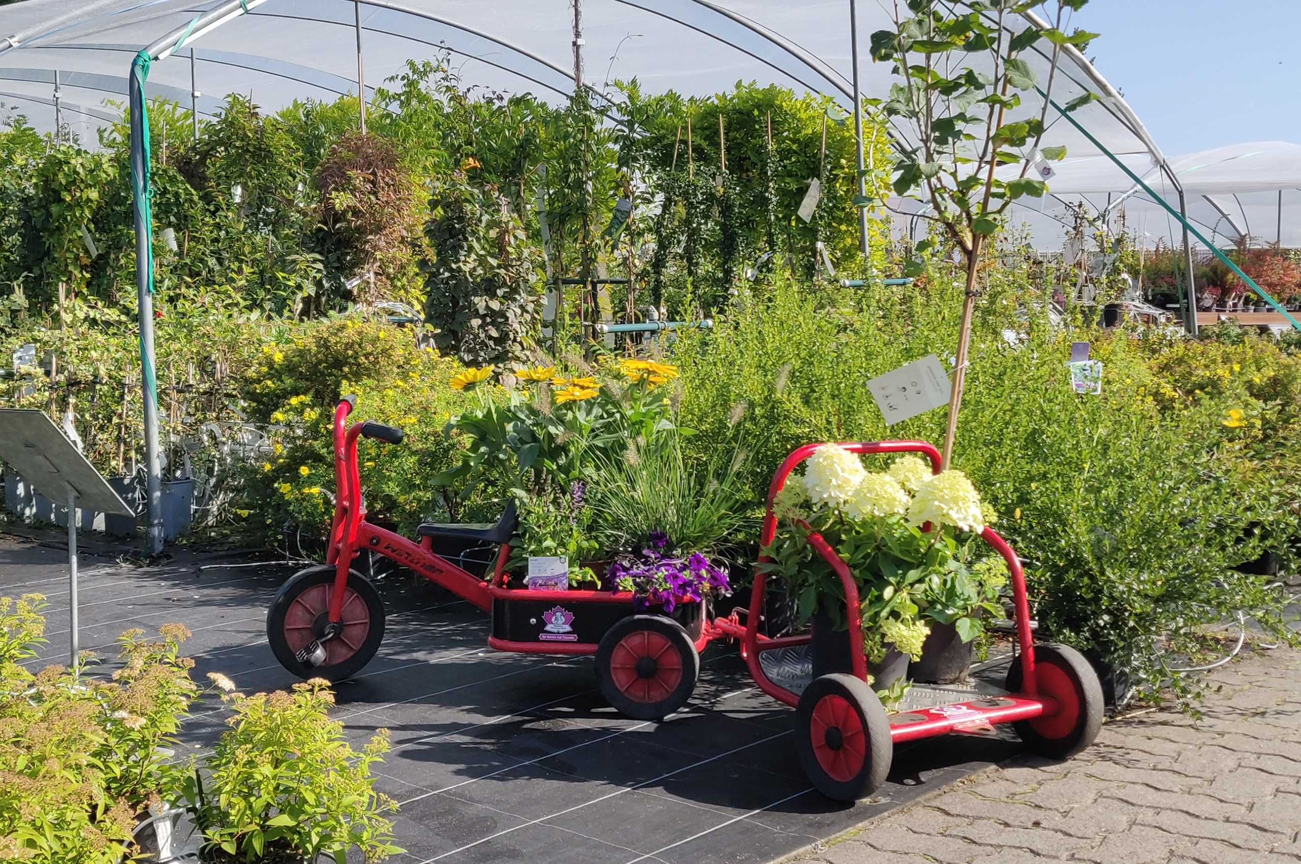 Kinderfahrzeug Riechers Pflanzenwelt | Spielecke & Kinderfahrzeuge