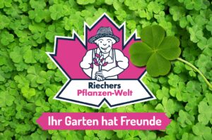 Neujahres Grüße Riechers Pflanzen-Welt Braak bei Hamburg