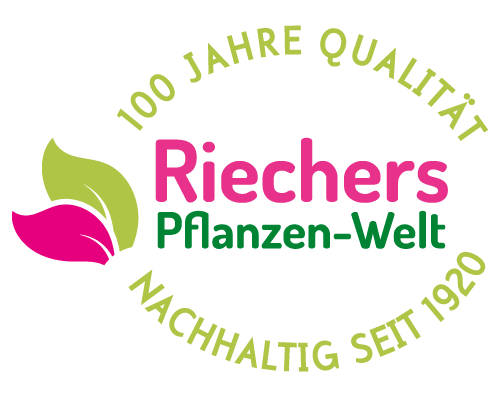 Riechers Pflanzen-Welt: 100 Jahre Qualität | Nachhaltig seit 1920