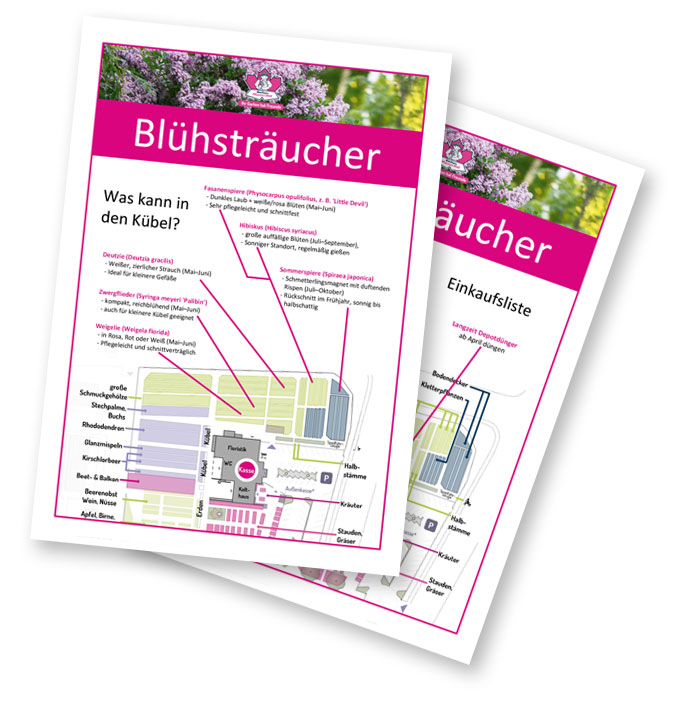 Anleitung und Einkausliste Kübelbepflanzungs Entdeckungs Pfad